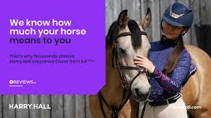 best equestrian insurance companies in