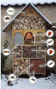 comment faire sa maison à insectes