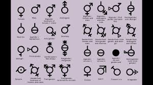 Chart Of All The Genders