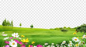 If you like, you can download pictures in icon format or directly in. Trees Landscape Material Meadow Flowers Grass Flower Flowers Png Pngwing