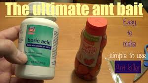 make ant bait from boric acid and jelly