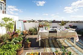 8 Rooftop Garden Ideas
