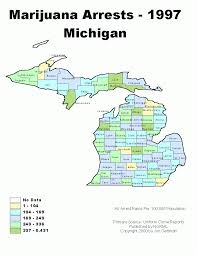 Michigan Laws Penalties Norml Working To Reform