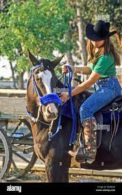 Bbw riding cowgirl