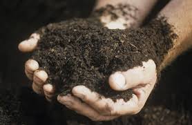Image result for free hands in soil stock photos