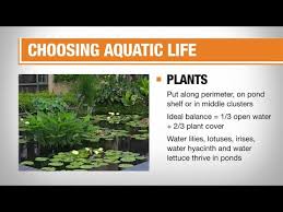 How To Build A Fish Pond The Home Depot