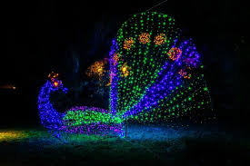 lewis ginter gardenfest of lights in