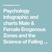 Psychology Infographic And Charts Male Female Erogenous
