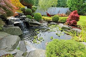 Water Feature Landscaping Designs