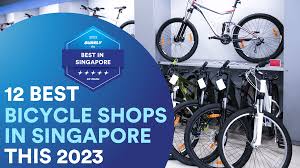 singapore s 12 best bicycle s for