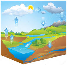 Pictures Simple Water Cycle Diagram Water Cycle Vector