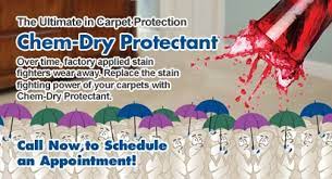 carpet cleaning redwood valley 707 376 9559