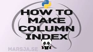 a column index in pandas dataframe