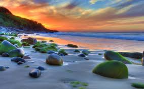 sunset ocean sandy beach rocks green