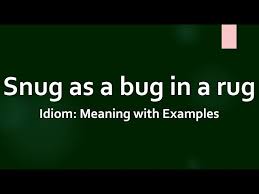 idiom snug as a bug in a rug meaning