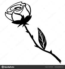 Jednoduché černé Bílé Růže Kreslený Stock Vektor Ainsel 227031690