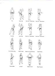 Karate kata are executed as a specified series of a variety of moves, with stepping and turning, while attempting to maintain perfect form. Start Learning Karate Kata