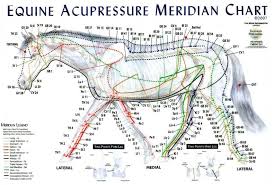 Chinese Meridian Charts Traditional Chinese Medicine Is