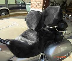 Custom Motorcycle Seat And Backrest