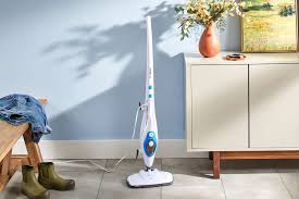 the 10 best steam cleaners of 2024