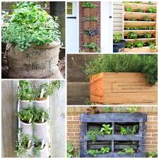 11 container herb garden ideas hearth