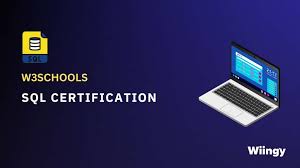 12 best sql certifications of 2024