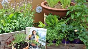 Urban Gardenista In A Box Daily Addict