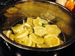 lemon lime syrup for sodastream recipe