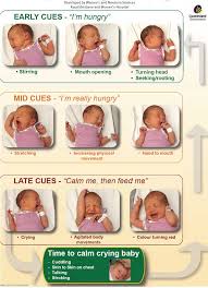 newborn feeding cues