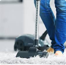 professioanl carpet cleaning service