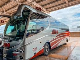 bus travel around mexico