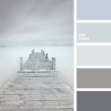 monochrome gray color palette color