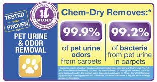 pet stain remover pet urine removal