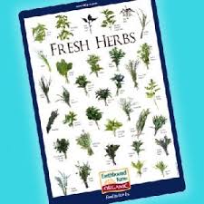 Free Downloadable Fresh Herb Id Chart From Earthbound Farm