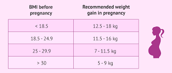 how much weight should i gain during