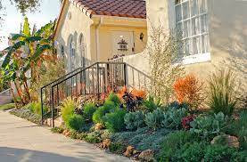 What Is A Drought Tolerant Garden