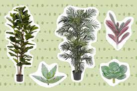 the 15 best fake plants of 2023 tested