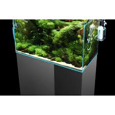 copy of high end 60 p 45 ada aquarium kit