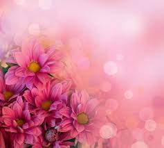 photo spring background with pink flowers