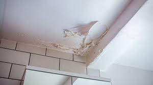 Mold On Bathroom Ceiling How To Remove