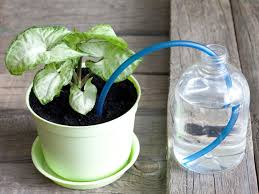 Learn why a good design is important. Automatic Houseplant Watering Making An Indoor Watering System