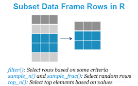 subset data frame rows in r datanovia