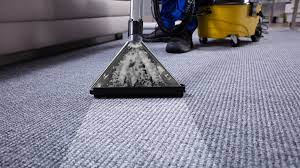 your carpets professionally cleaned