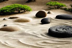 Rocks On Sand With Bonsai Plants