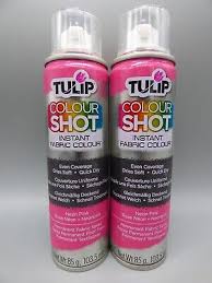Neon Pink 2 Fabric Spray Paint