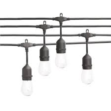 Single Filament Led Bulbs
