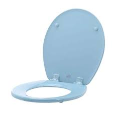 Closed Front Toilet Seat In Sky Blue