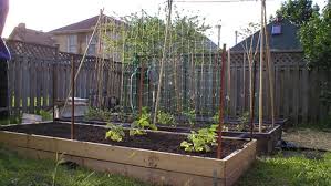 Advantages Of Using Raised Garden Beds