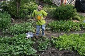Tips To Prepare Your Garden