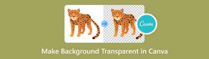 how to make background transpa in